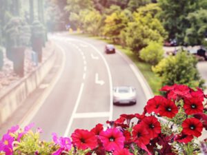 Fachanwalt für Verkehrsrecht 